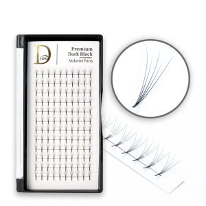 6D Long Stem Premade Fan
