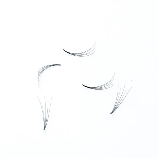 6D Long Stem Premade Fan - Image 5