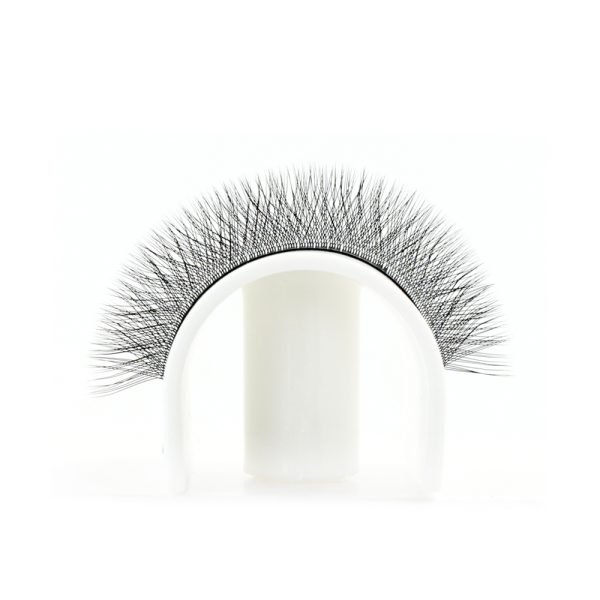W Lash - Image 5