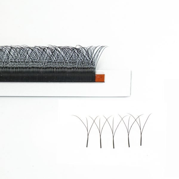W Lash - Image 4